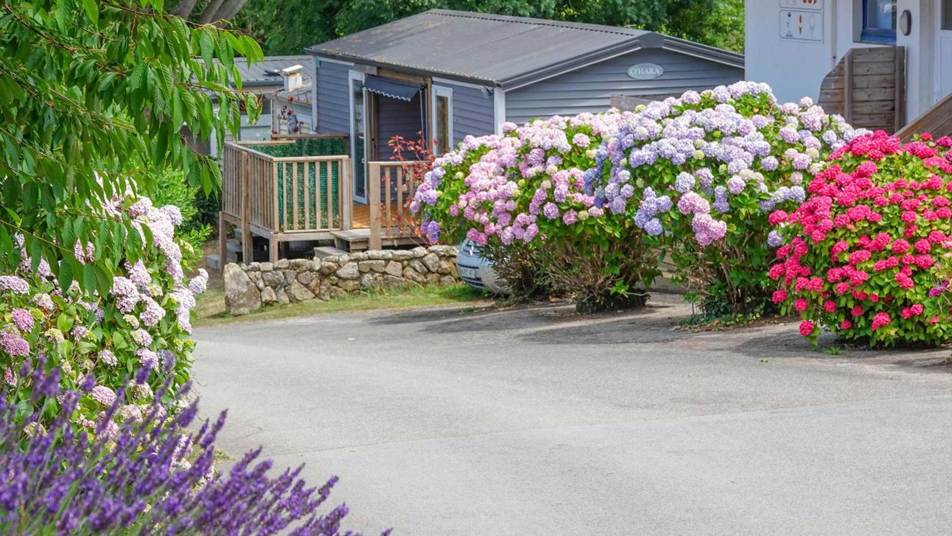 Camping Le Dolmen, Carnac, Morbihan Экстерьер фото