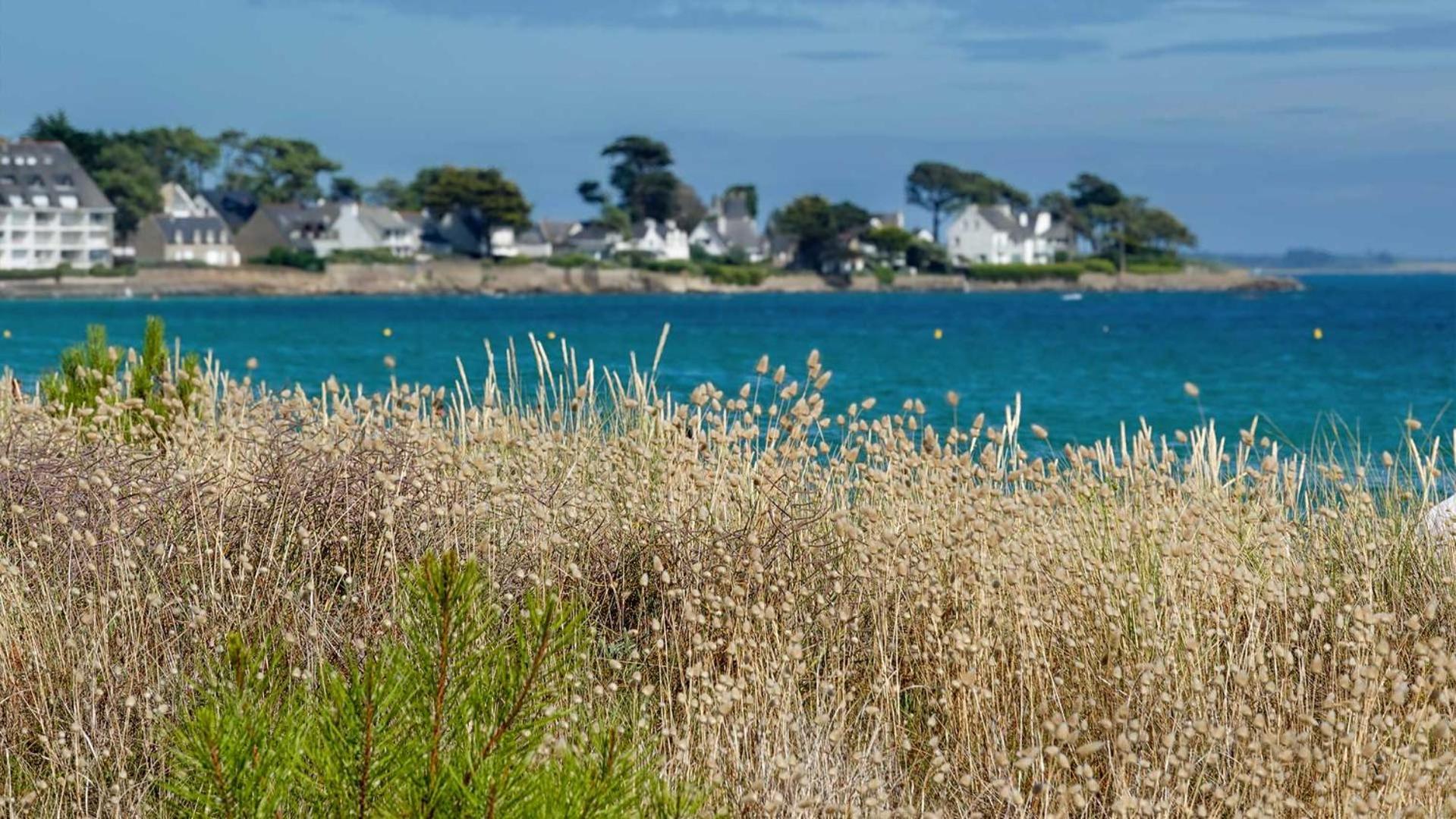 Camping Le Dolmen, Carnac, Morbihan Экстерьер фото